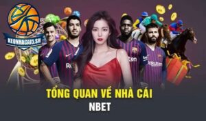 Đôi nét thông tin cơ bản về nhà cái Nbet uy tín